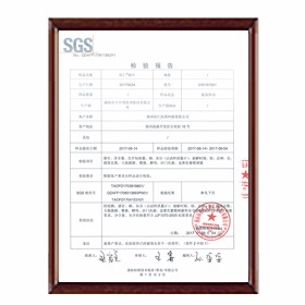 2.桂仁硒片檢驗報告
